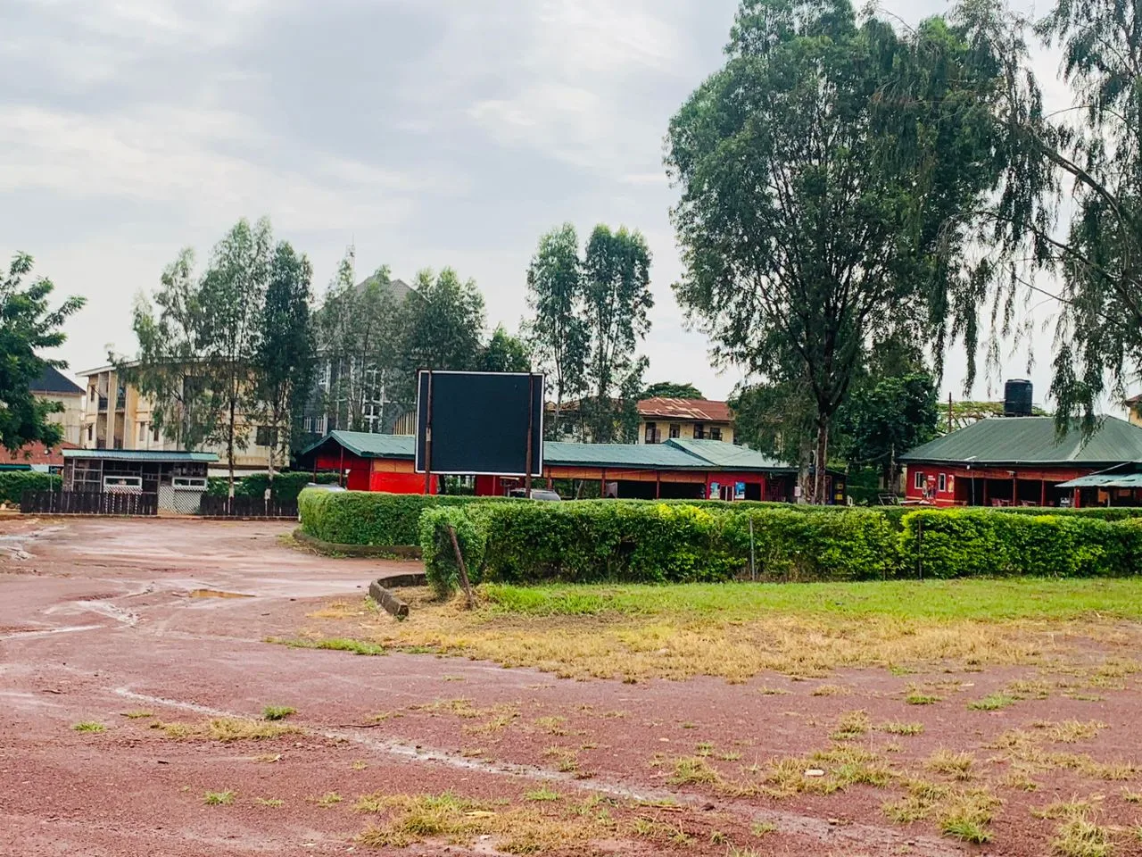 Ngwo Park Cover Image