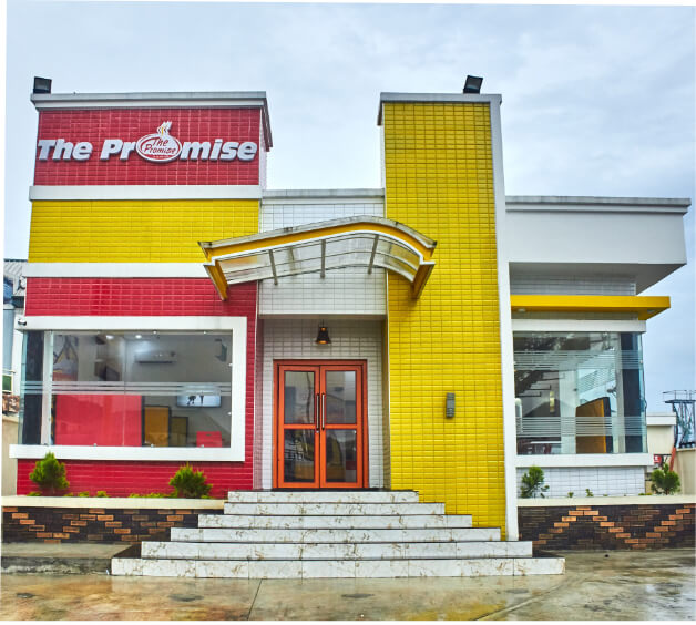 THE PROMISE Cover Image