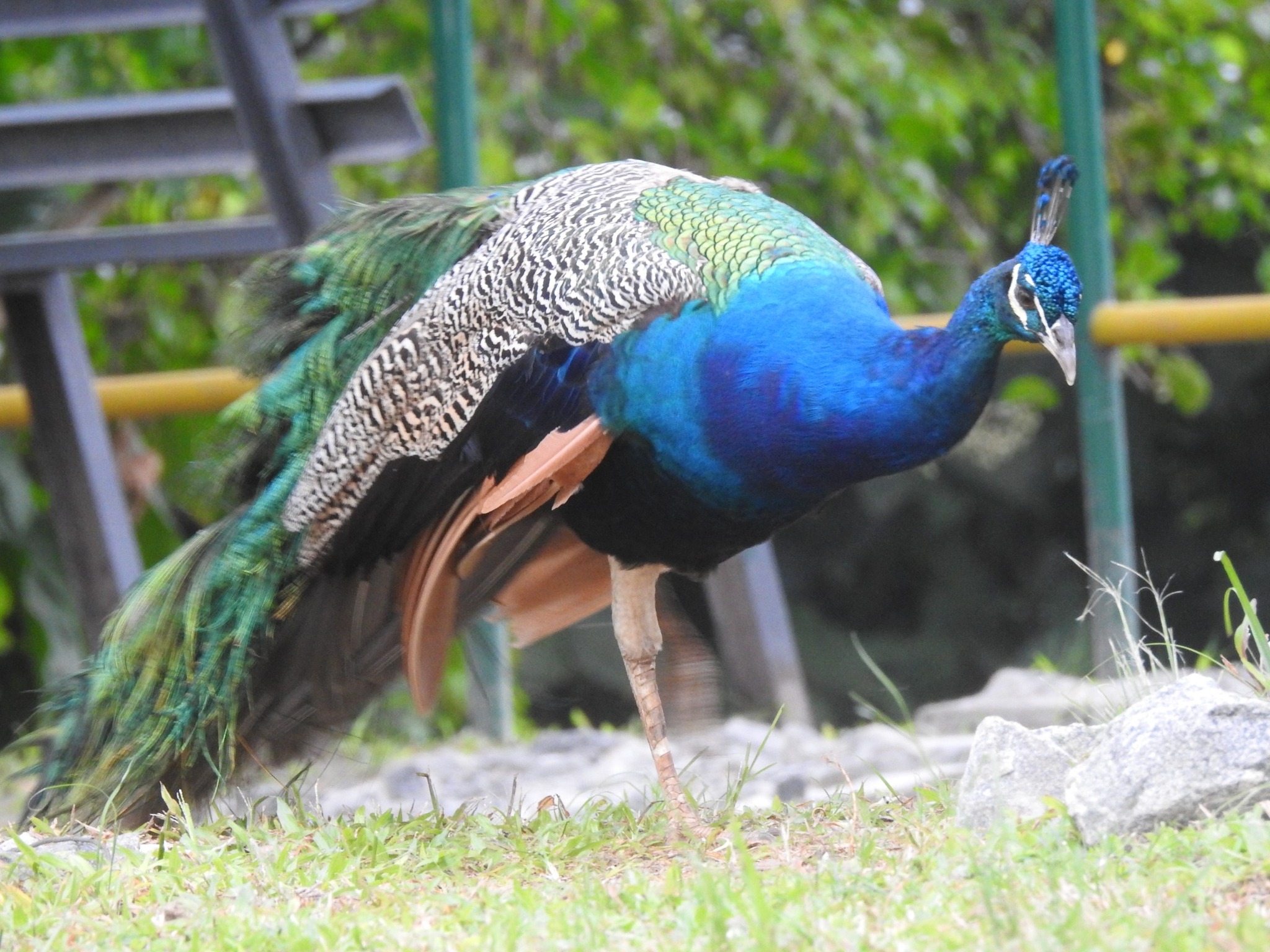 Finima Nature Park Gallery Image 2