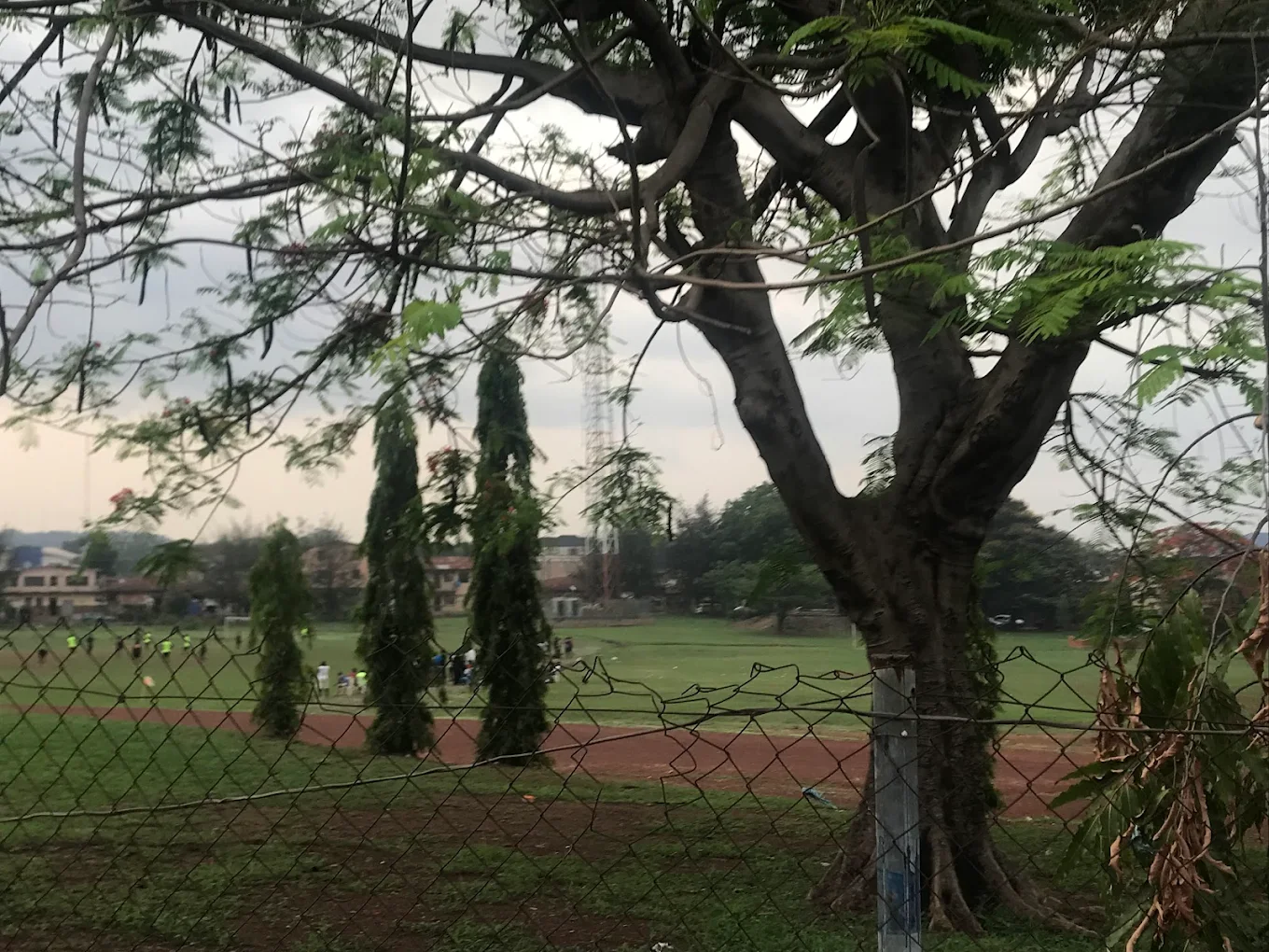 Ngwo Park Gallery Image 1