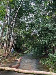 OJI RIVER (WATER AREA / NATURAL LOCATION) Gallery Image 6