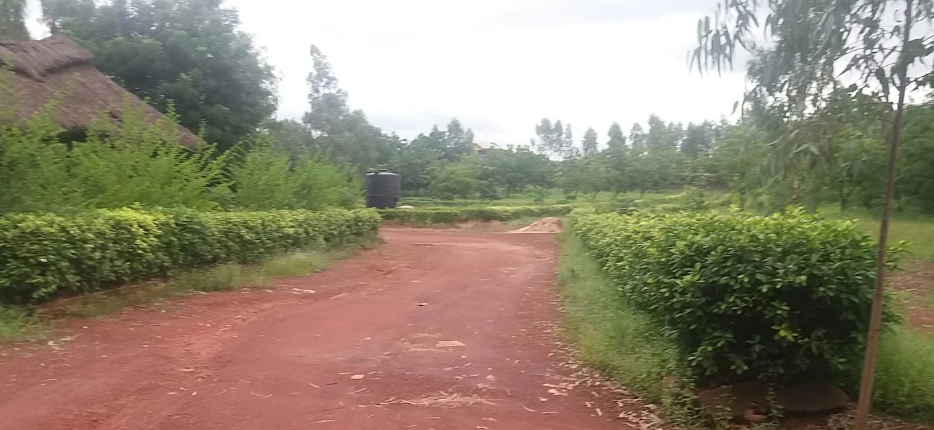 OVERCOMERS TOURIST GARDEN Gallery Image 5