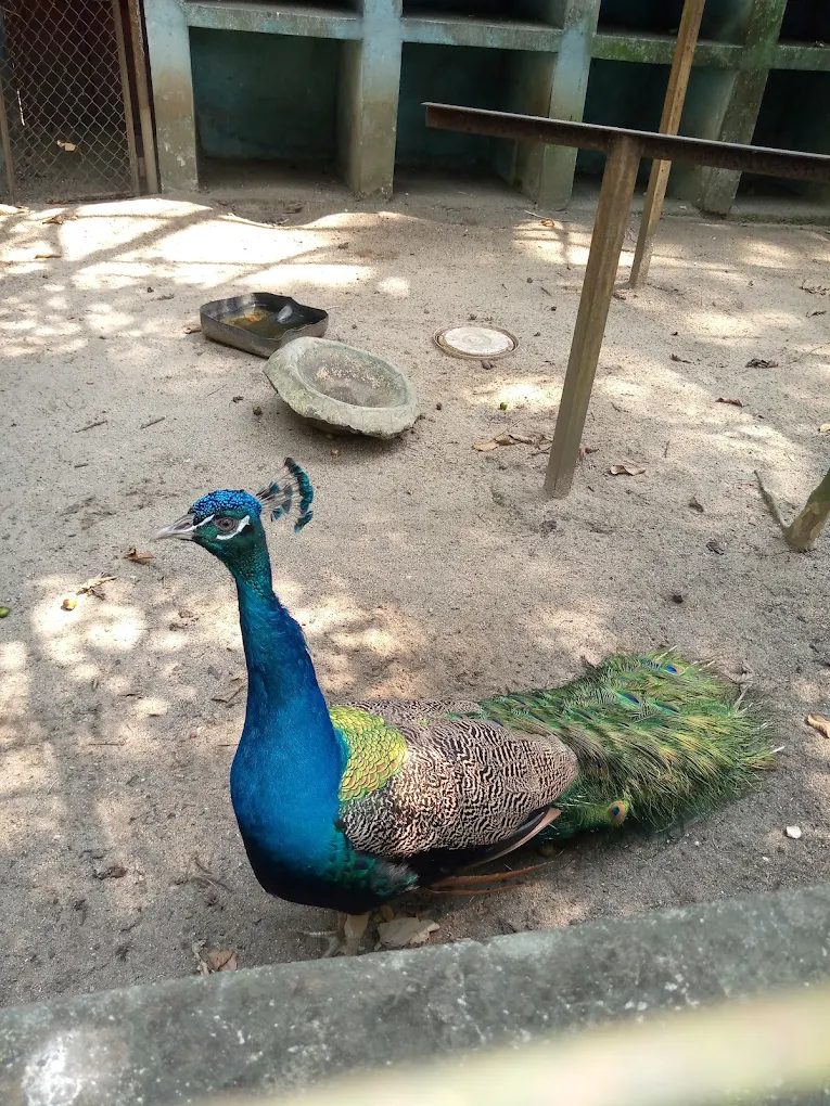 PORT HARCOURT ZOO Gallery Image 8