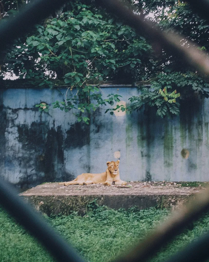 PORT HARCOURT ZOO Gallery Image 2