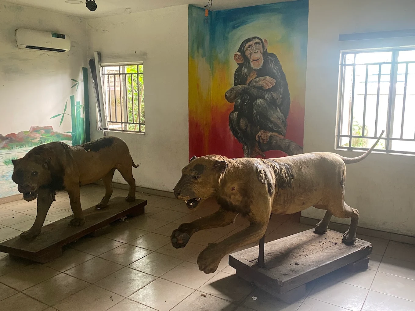 PORT HARCOURT ZOO Gallery Image 6