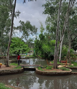 UNITY PARK Gallery Image 6