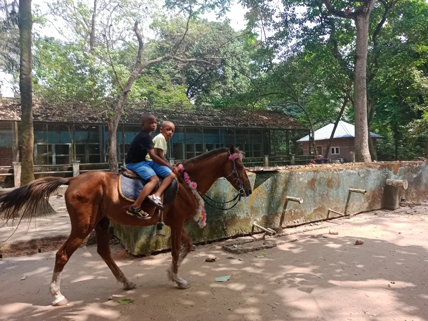 PORT HARCOURT ZOO Gallery Image 4