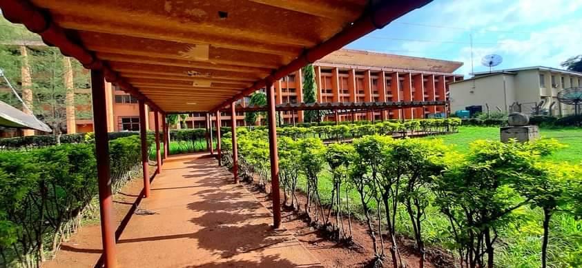 Department of Performing Arts – University of Nigeria, Nsukka (UNN) Gallery Image 3