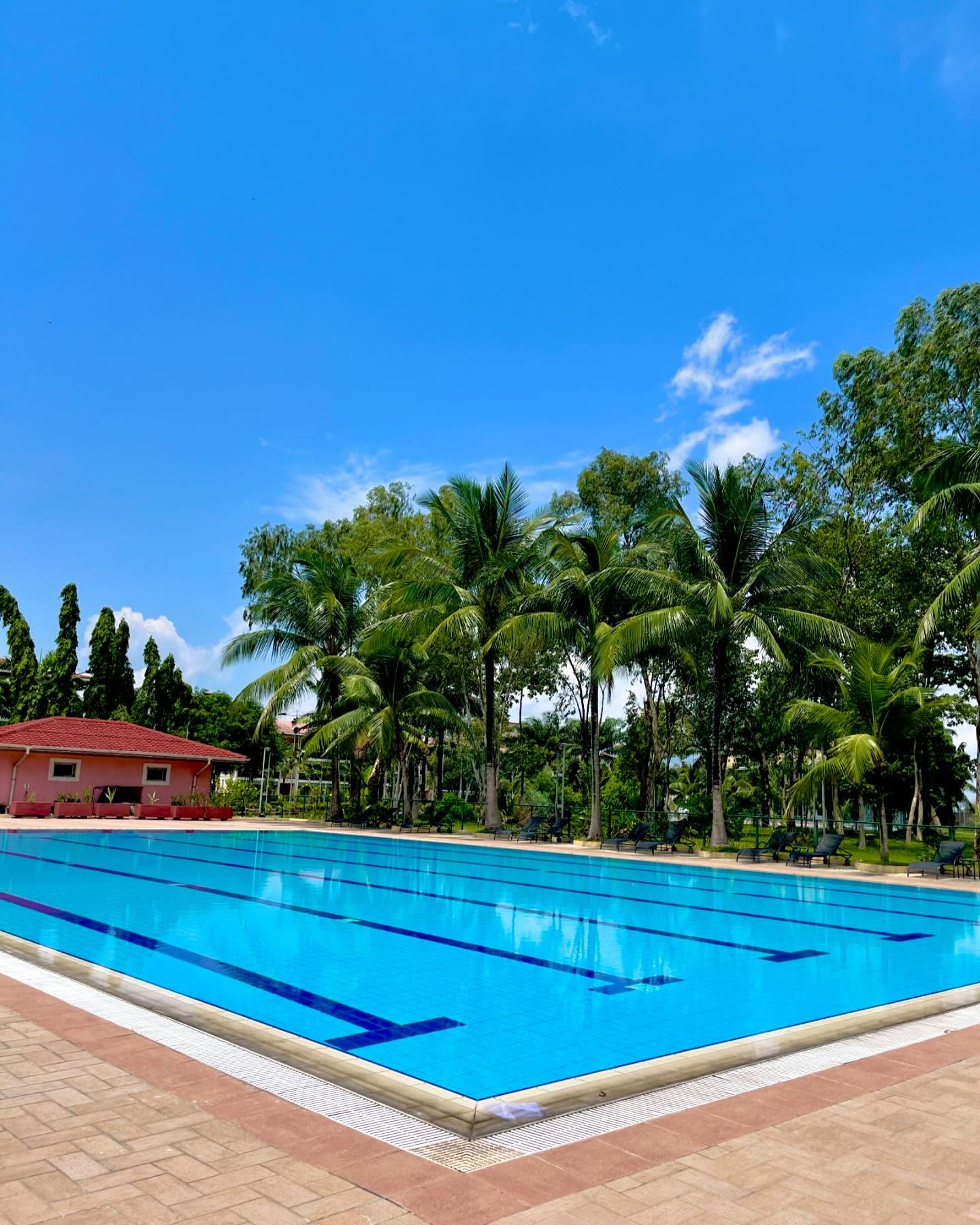 Heliconia Park Gallery Image 10