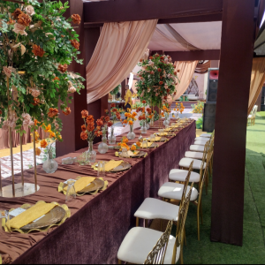 The Checcas Rentals Services