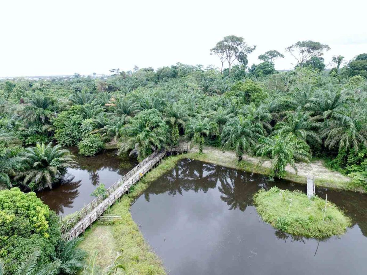 LUFASI Nature Park Gallery Image 2