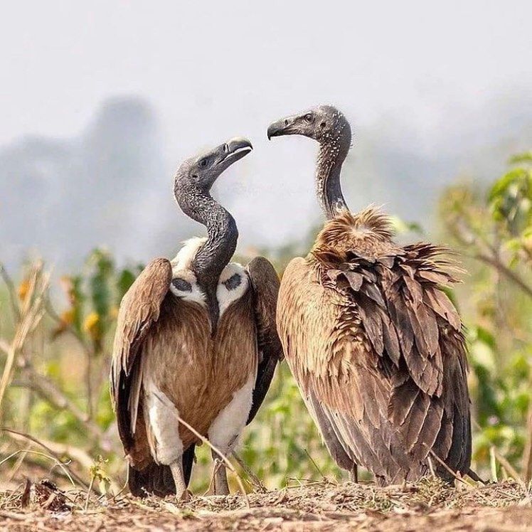 LUFASI Nature Park Gallery Image 6