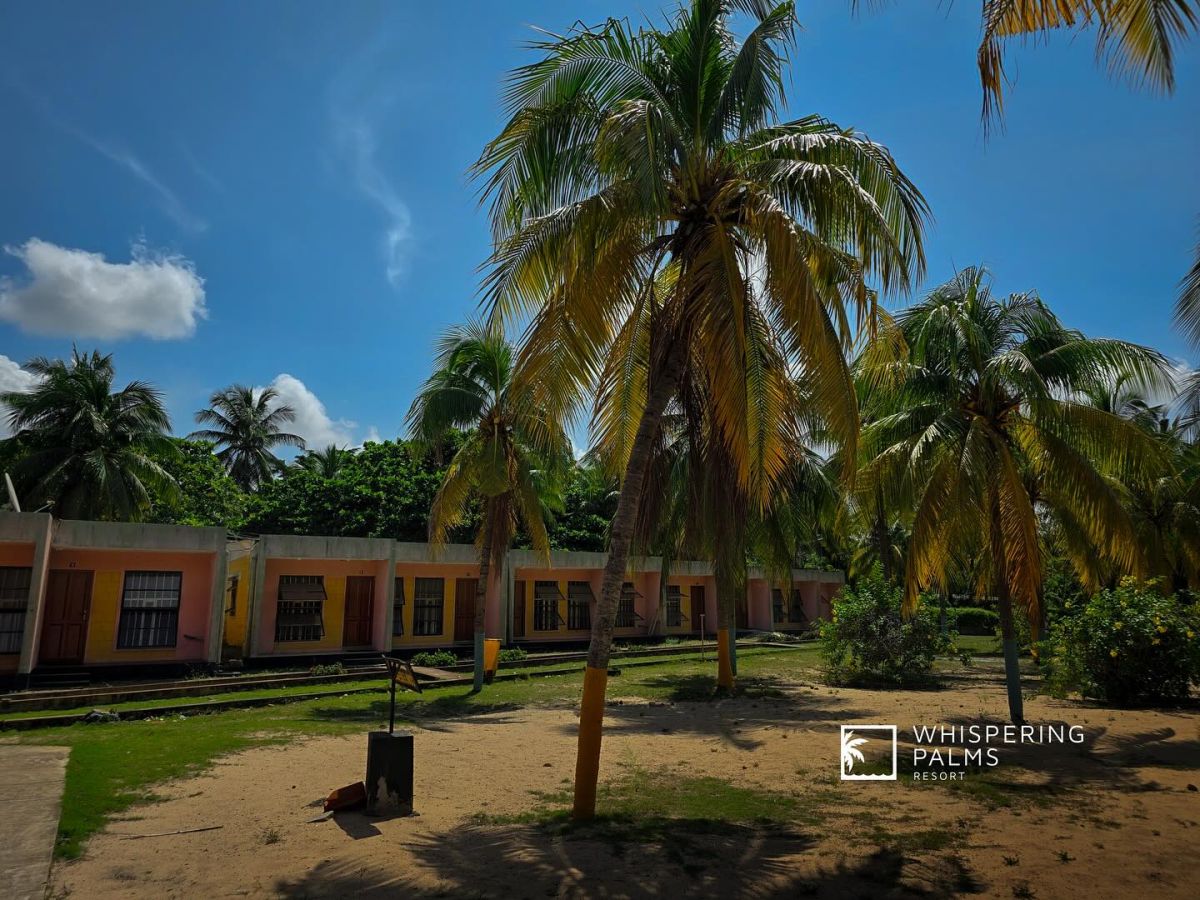Whispering Palms Resort Gallery Image 3