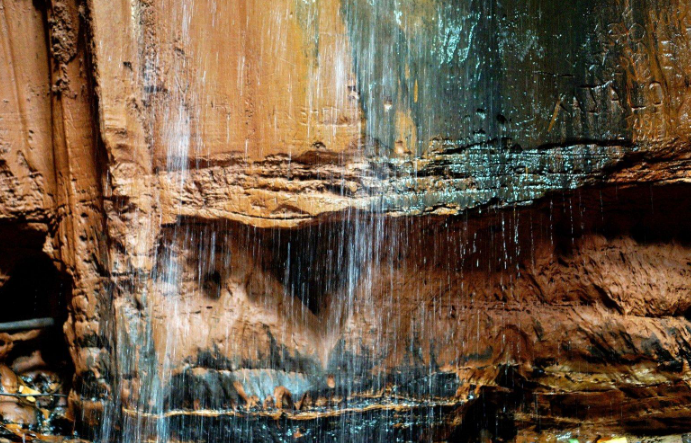 Ngwo Pine Forest Gallery Image 4